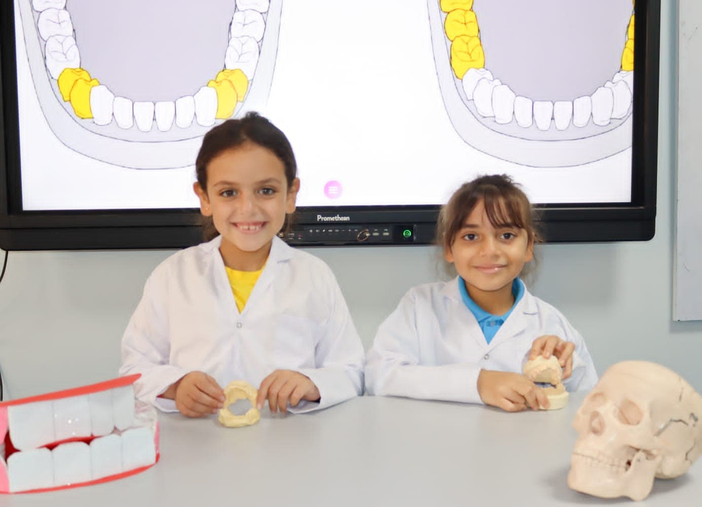 Students with anatomy models and an interactive screen