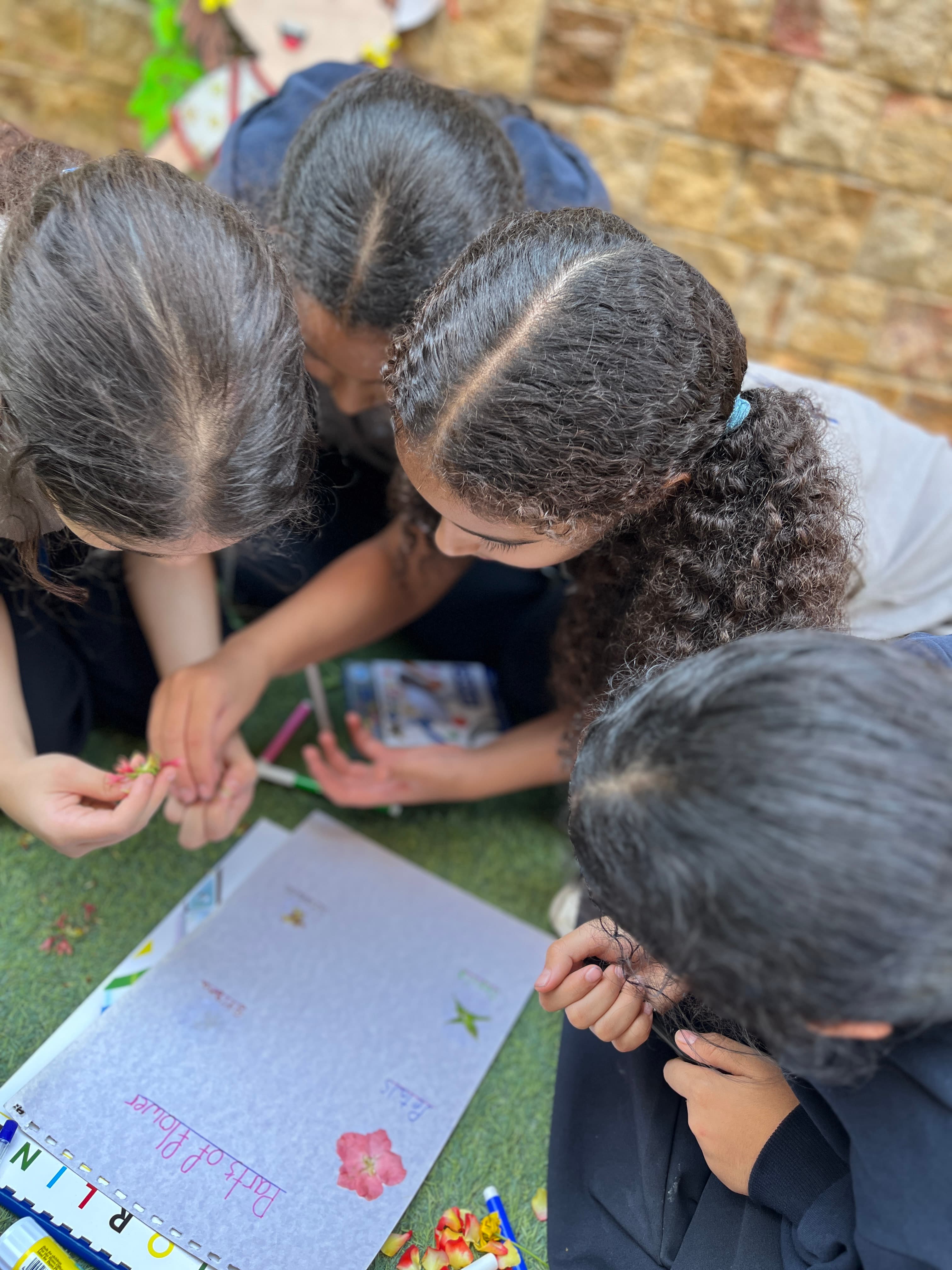 Students working on a project together